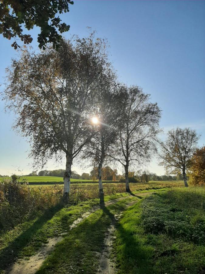 Willa Mv Idyll Dahmen  Zewnętrze zdjęcie